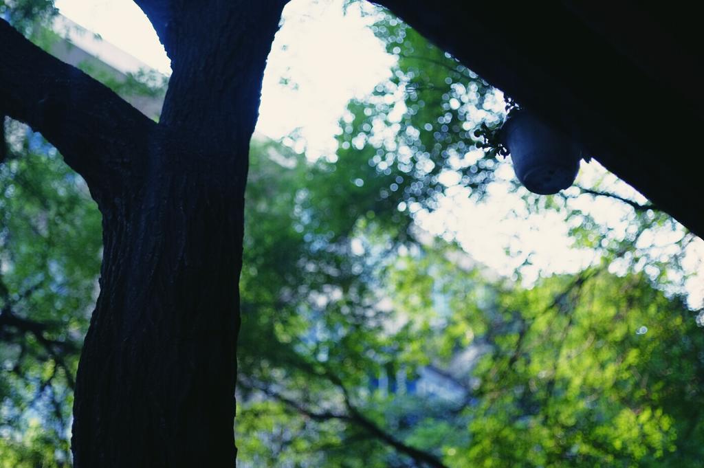 Xi'An Qindiao Youth Hostel שיאן מראה חיצוני תמונה
